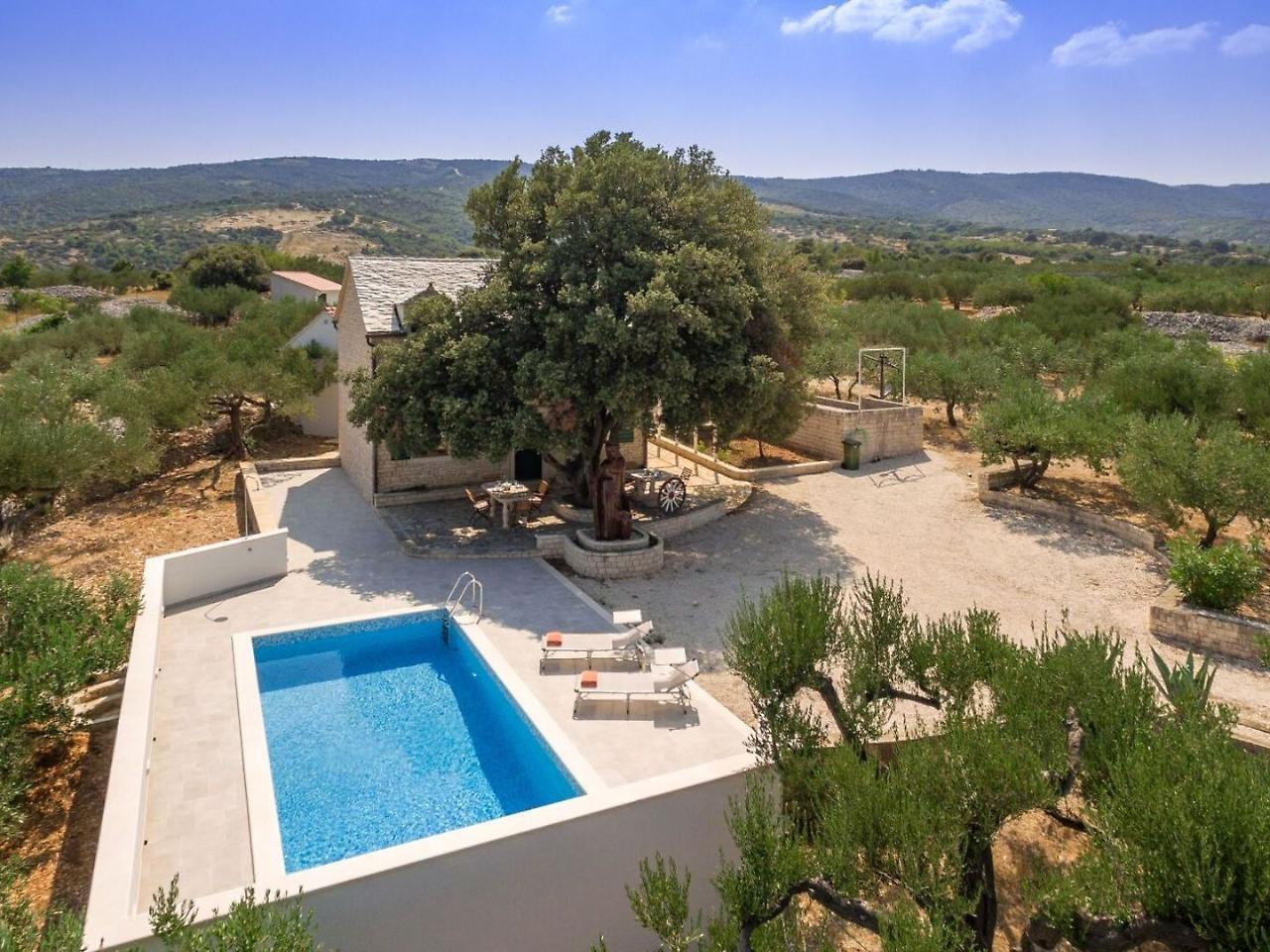 Villa Dubrava Tranquil Retreat Nestled In An Olive Grove For Serene Escapes Pucisca Eksteriør billede